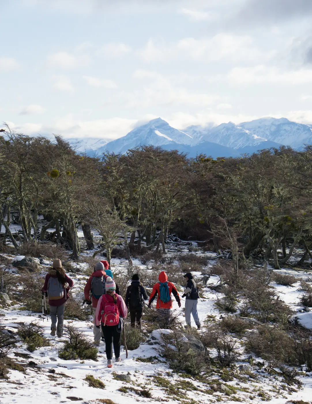 Grupo de excursionistas caminando por un bosque de lengas nevado en Patagonia