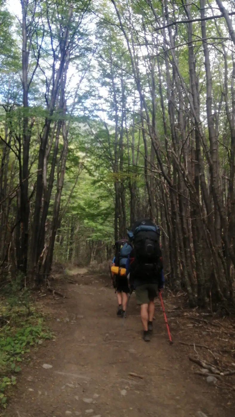 Mochileros caminando por un sendero de trekking en la Patagonia